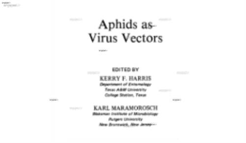 aphids as  virus vectors aphids as  virus vectors