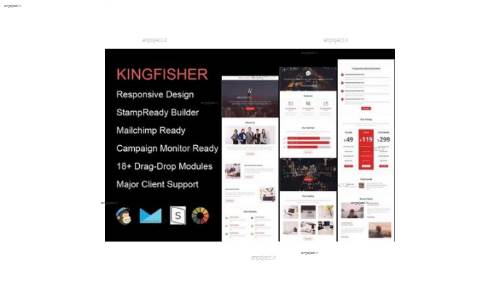 قالب ایمیل شرکتی KingFisher به صورت HTML قالب ایمیل شرکتی KingFisher به صورت HTML