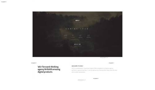 قالب وب سایت Orly  قالب وب سایت Orly