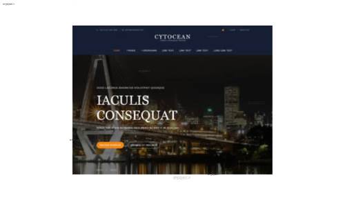 قالب وب سایت cytocean