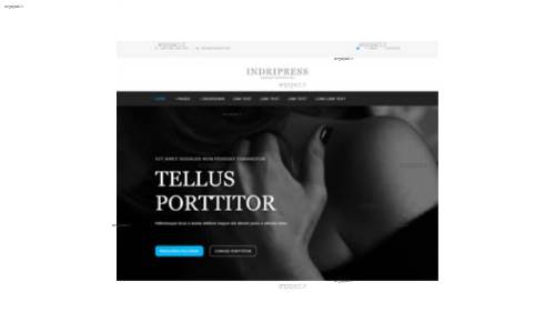 قالب وب سایت Indripress
