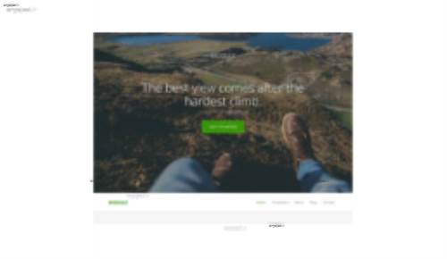 قالب وب سایت Module