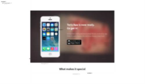 قالب وب سایت Teris 