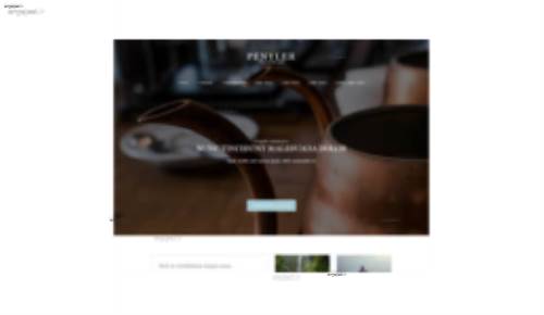 قالب وب سایت Penyler 