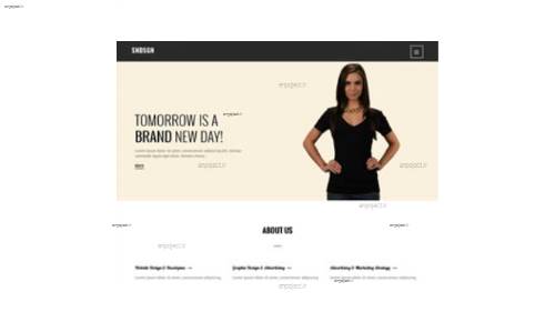 قالب وب سایت SNDSGN 