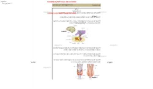 جزوه جمعبندی نکته های هورمون