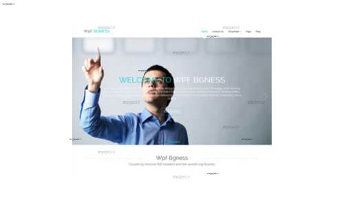 قالب وب سایت WpF BGness  قالب وب سایت WpF BGness