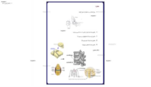 درجه آزادی بدن