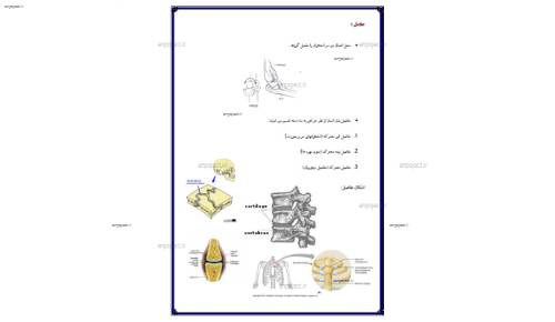 درجه آزادی بدن درجه آزادی بدن