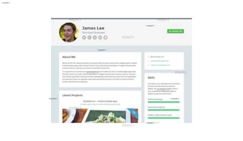 قالب وب سایت Developer 