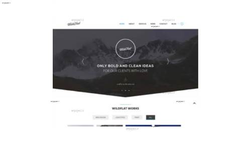 قالب وب سایت WildFlat  قالب وب سایت WildFlat