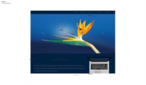 قالب وب سایت Curi 1.0 