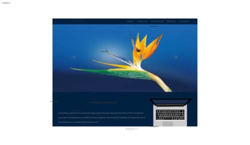 قالب وب سایت Curi 1.0 