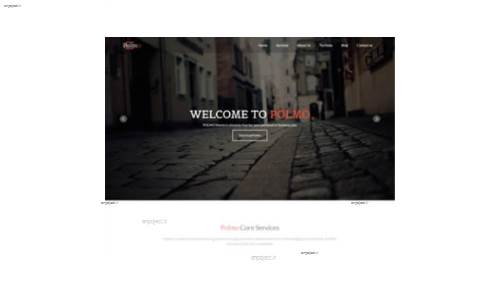 قالب وب سایت POLMO 