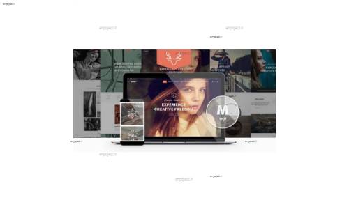 دانلود قالب خلاقانه و چندمنظوره Moose برای وردپرس دانلود قالب خلاقانه و چندمنظوره Moose برای وردپرس