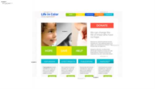 قالب وب سایت Life In Color 