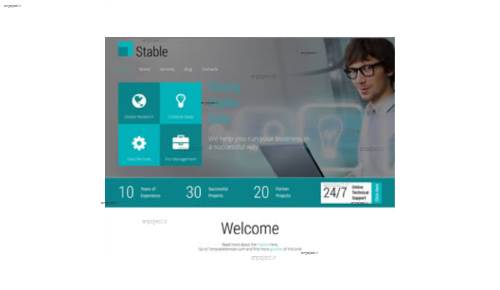 قالب وب سایت Stable 