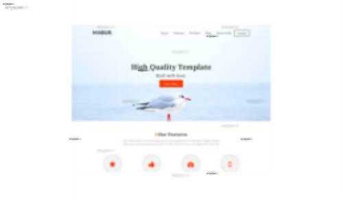 قالب وب سایت Mabur 